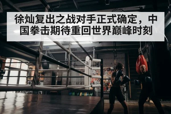 boxer training
